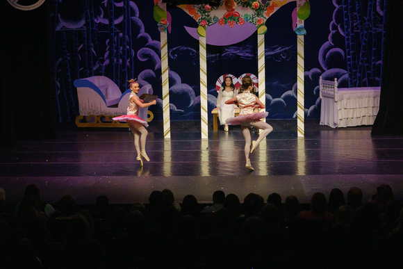DSC08541