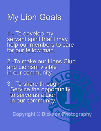 My_Lion_Goals_2020_A1