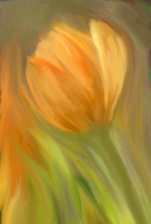 abstract-tulipz2z1