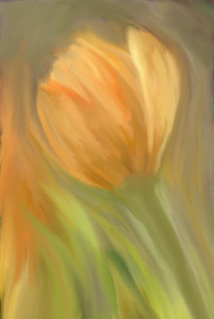 abstract-tulipz2